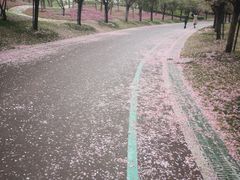 -南通洲际绿博园