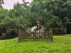 -南山风景名胜区
