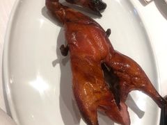 -东富酒家(龙湖西溪天街店)
