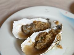 -宾朋海鲜饭庄(兴海路店)