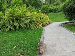 -晓港公园