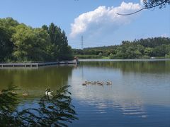 -翠湖国家城市湿地公园