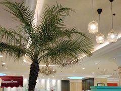 -逸派咖啡 EPARKCOFFEE(广安门店)