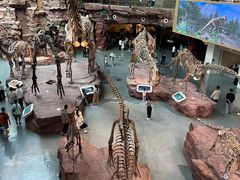 -安徽省地质博物馆