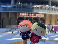 -交通银行前滩31演艺中心