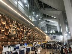 -英迪拉·甘地国际机场