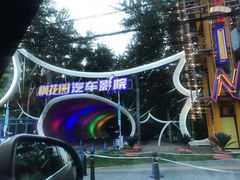 -枫花园汽车电影院(朝阳公园店)