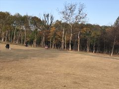 -钟山体育运动公园