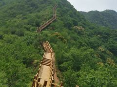 -大岭沟猕猴桃谷风景区