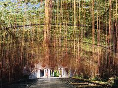 -森波拉火山温泉