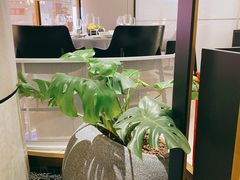 -红雀围·海鲜火锅(陆家嘴中心店)