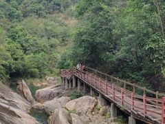 -广州白江湖森林公园