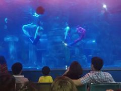 -石家庄极地海洋世界