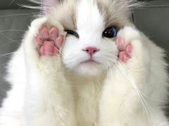 -盛江山自助料理(奥莱锦辉购物广场店)