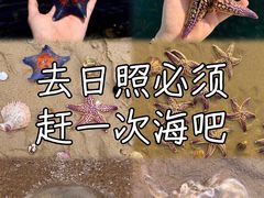 -巧克力渔家.小船海鲜家常菜(万平口店)