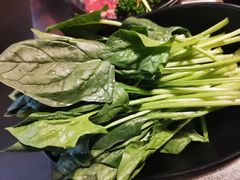 -捞王猪肚鸡火锅(昆山店)