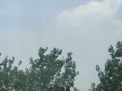 -映月湖中央公园