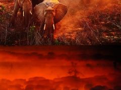 -罗红摄影艺术馆