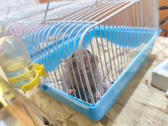 -昆百大泰业城
