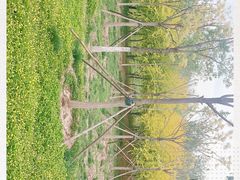 -天津东丽湖风景区