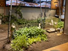 -蘸小院铁锅炖·蘸酱菜·东北菜(怀远门店)
