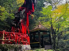 -燕子河大峡谷天坑仙境