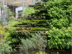 -凤来栖·净庭院·火锅(欧尚店)