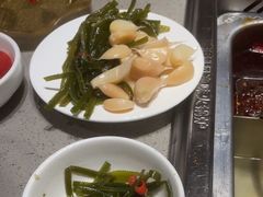 -海底捞火锅(赛格国际购物中心店)