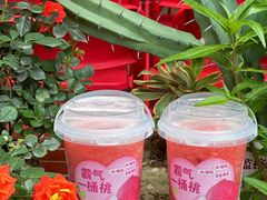 -奈雪的茶(石厦时代广场店)