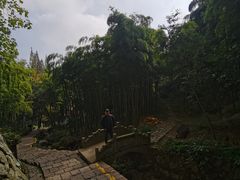 -莫干山风景区