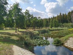 -黄海国家森林公园