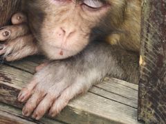 -重庆云阳龙缸景区