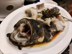 青花椒蒸龙胆鱼-闽和南(深圳万象城店)