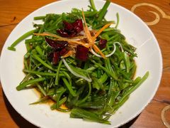 -菌自由丨野生菌火锅特色庭院餐厅(丽江古城店)