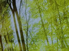 -东北小板凳地摊烧烤(泰来街店)