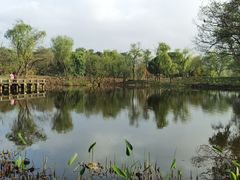 -西溪国家湿地公园