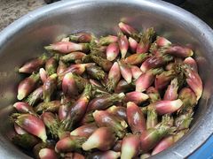 -华蓥山天意谷景区