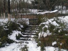 -镇江市南山风景名胜区竹林景区
