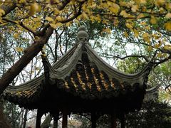 -秋霞圃