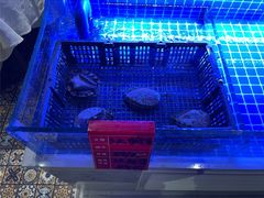 -新加坡瑞珍•海河观景餐厅