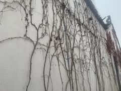 -青果巷历史文化街区