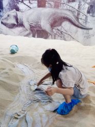 -恐龙探索乐园(磁器口店)