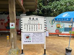 -深圳野生动物园