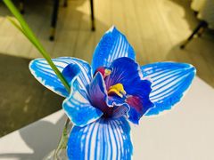 -屋里厢上海菜馆