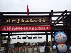 -杭州湾海上花田景区