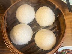 茨毛圆子-双塔老饭店