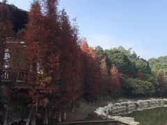 -广州市帽峰山景区