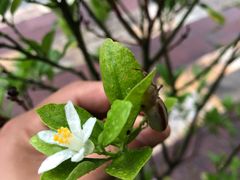 -京津新城温德姆至尊酒店(珠江大道店)