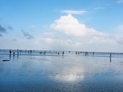 -南汇嘴观海公园