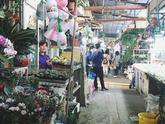 -万商花鸟市场